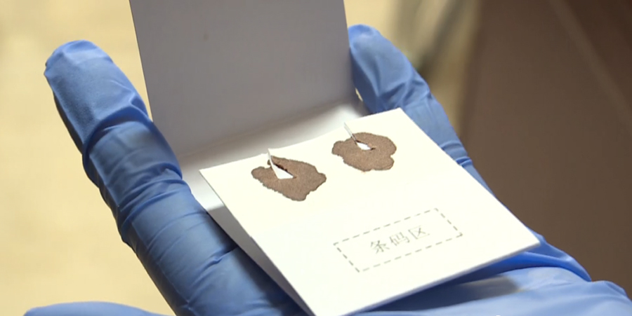 广东亲子鉴定机构预约,亲子鉴定样品有什么