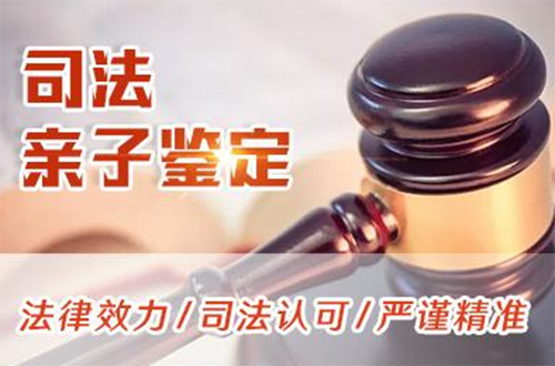 广东省司法亲子鉴定的流程,广东省司法亲子鉴定准不准