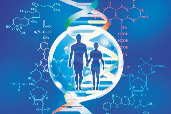 广东省个人亲子鉴定需要多少钱,广东省隐私亲子鉴定流程